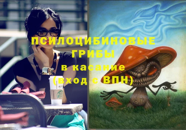 прущая мука Магас